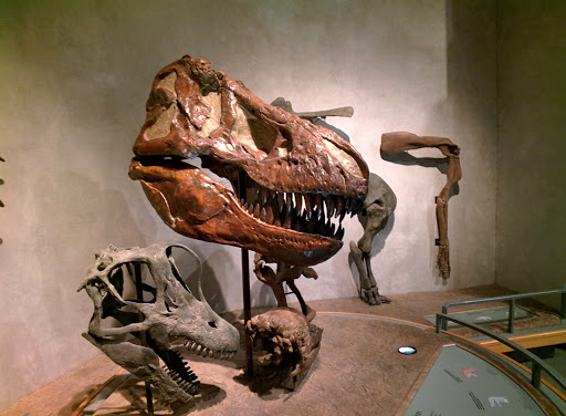 Natural History Museum «Denver Museum of Nature & Science», reviews and photos, 2001 Colorado Blvd, Denver, CO 80205, USA