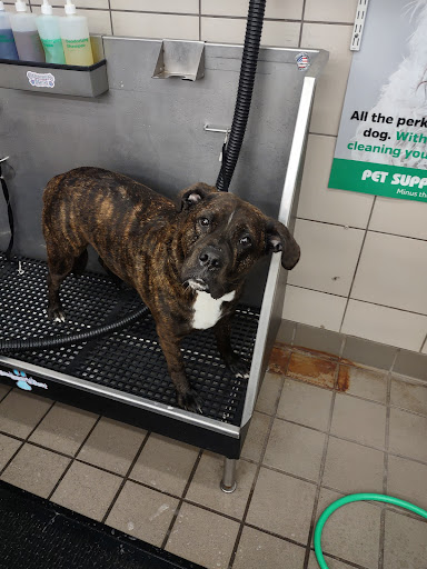 Pet Supply Store «Pet Supplies Plus», reviews and photos, 1407 Lincoln Hwy, Levittown, PA 19056, USA