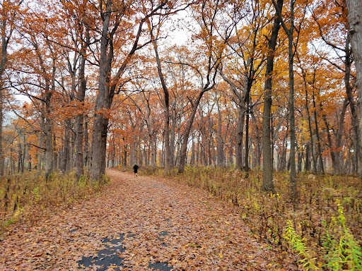 Nature Preserve «Hickory Creek Preserve», reviews and photos, Wolf Rd, Mokena, IL 60448, USA