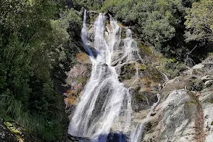Carew Creek Falls image