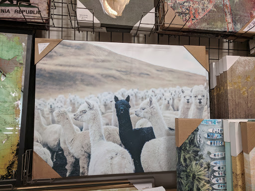 Furniture Store «Cost Plus World Market», reviews and photos, 10776 Trinity Pkwy, Stockton, CA 95219, USA