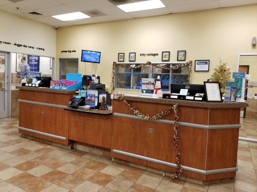 Pet Supply Store «PetSmart», reviews and photos, 19320 Nordhoff Way, Northridge, CA 91324, USA