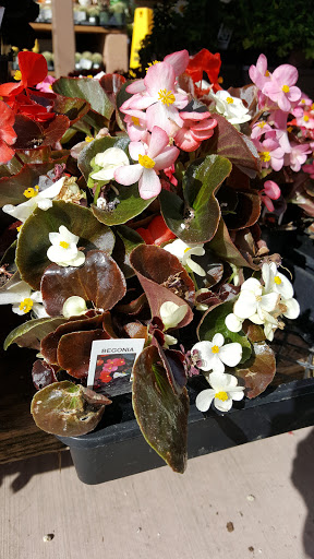 Hardware Store «Orchard Supply Hardware», reviews and photos, 1440 Fitzgerald Dr, Pinole, CA 94564, USA