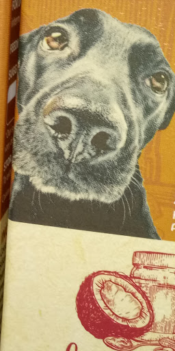 Pet Supply Store «Premier Pet Supply», reviews and photos, 31215 Southfield Rd, Beverly Hills, MI 48025, USA