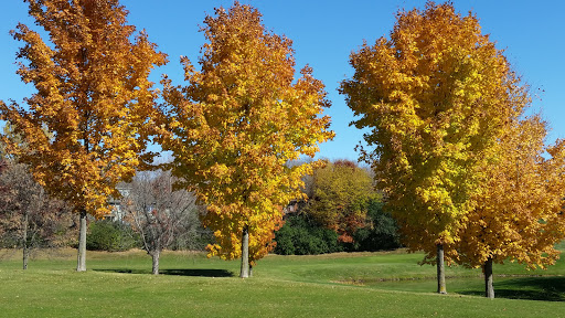 Public Golf Course «Apple Valley Golf Course», reviews and photos, 8661 140th St W, Apple Valley, MN 55124, USA