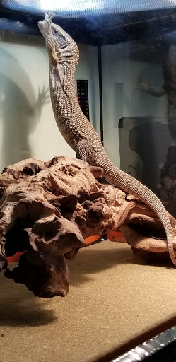 Pet Supply Store «Your Pet Experts», reviews and photos, 1665 State Hill Rd #490, Wyomissing, PA 19610, USA