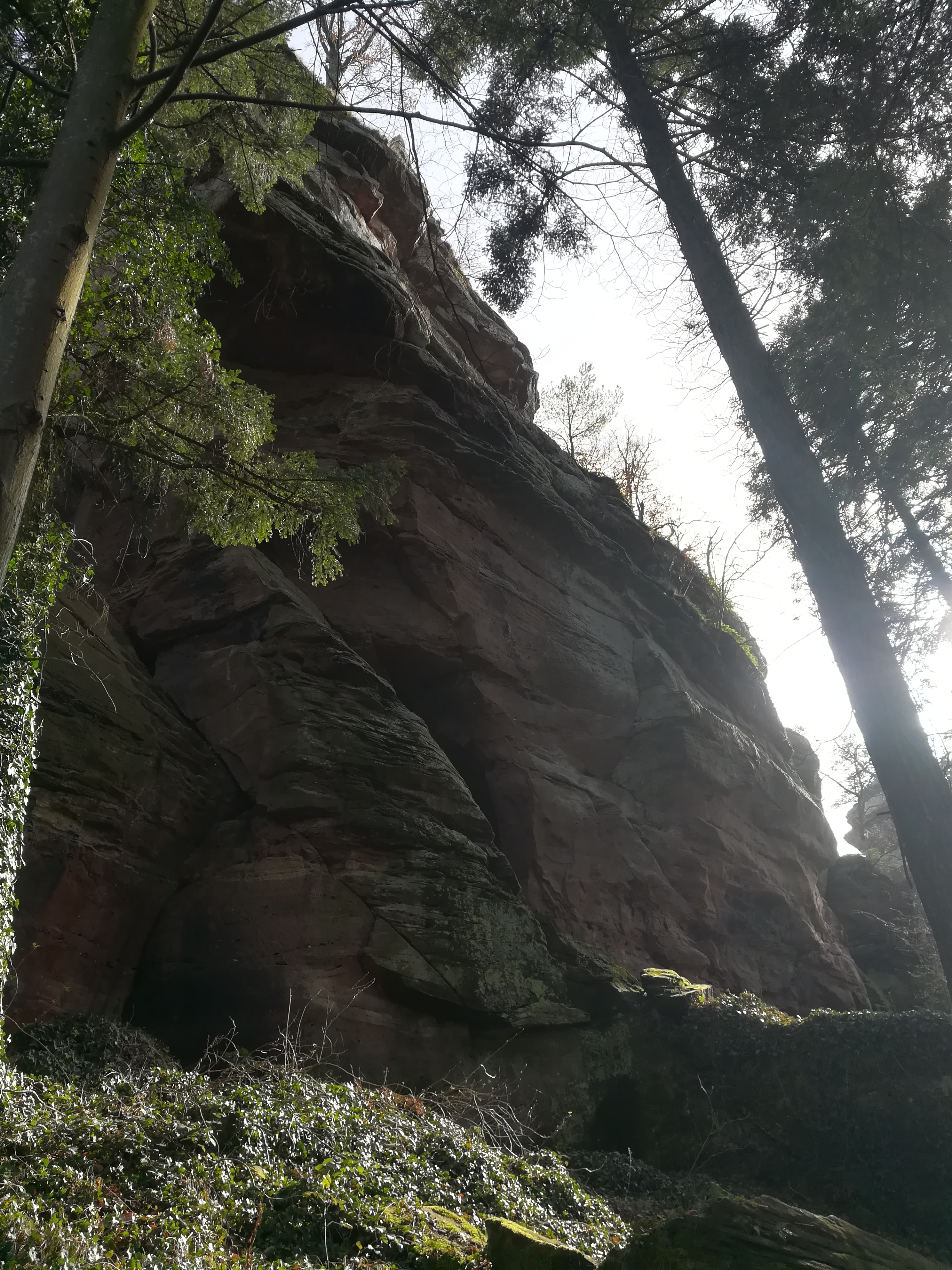 Photo n° 4 de l'avis de Virginie.i fait le 24/02/2021 à 18:12