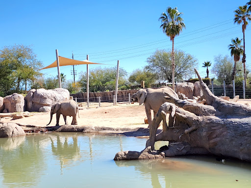 Zoo «Reid Park Zoo», reviews and photos, 3400 Zoo Court, Tucson, AZ 85716, USA