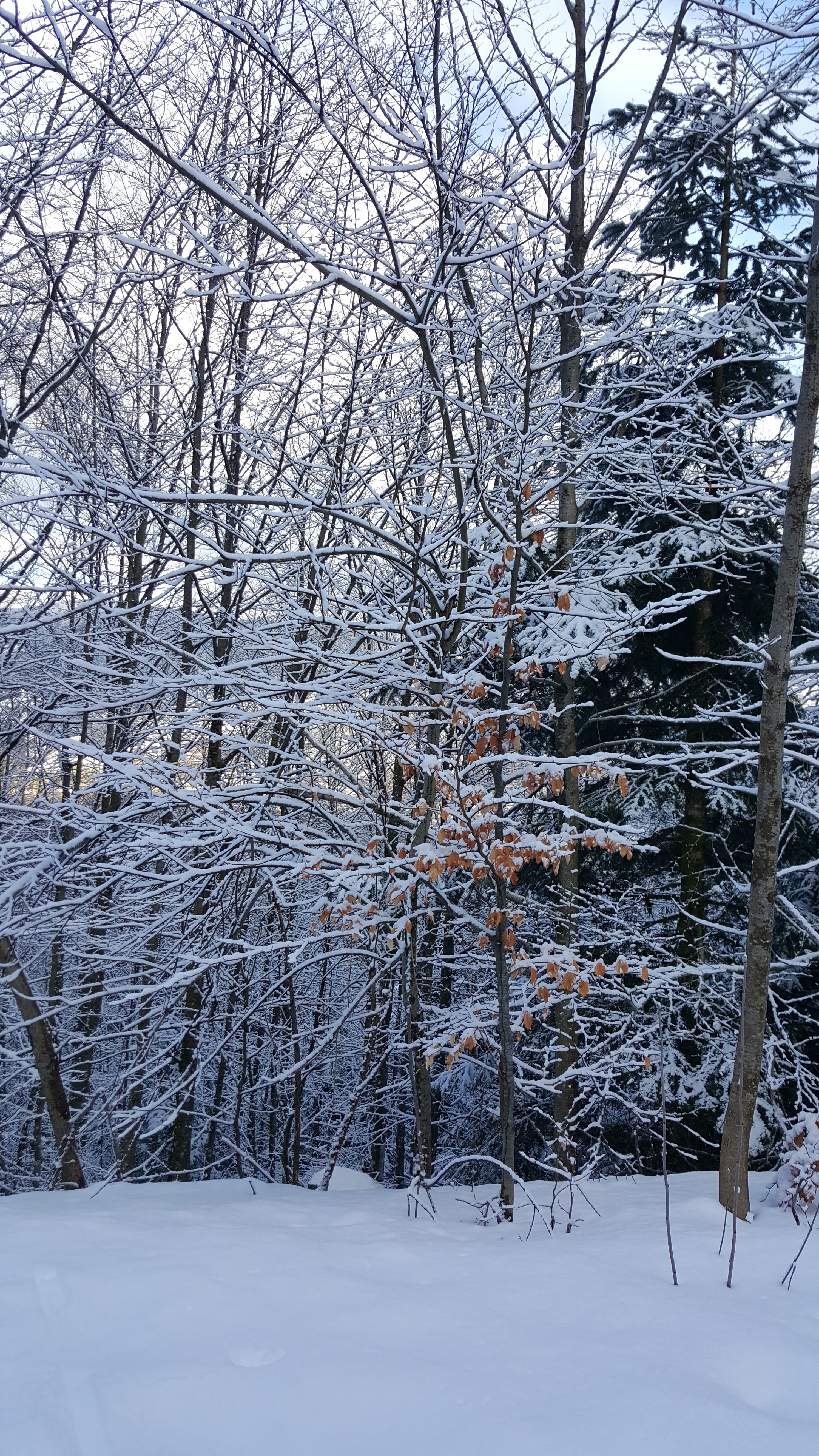 Photo n° 3 de l'avis de Veronique.o fait le 22/01/2020 à 20:10