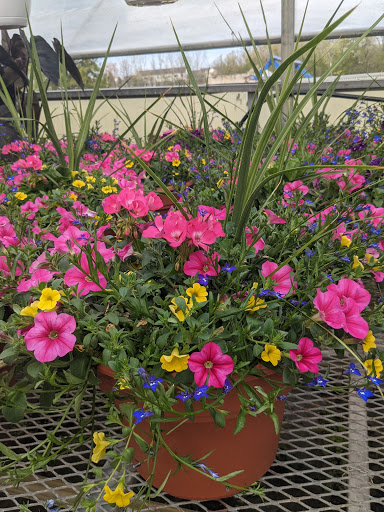 Wholesale Plant Nursery «Garden Fantasy», reviews and photos, 43250 Tyler Rd, Belleville, MI 48111, USA