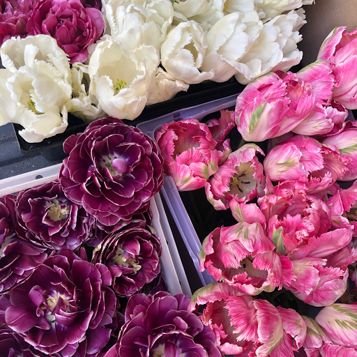 Florist «Sherwood Florist LLC», reviews and photos, 444 E 3rd St, Dayton, OH 45402, USA