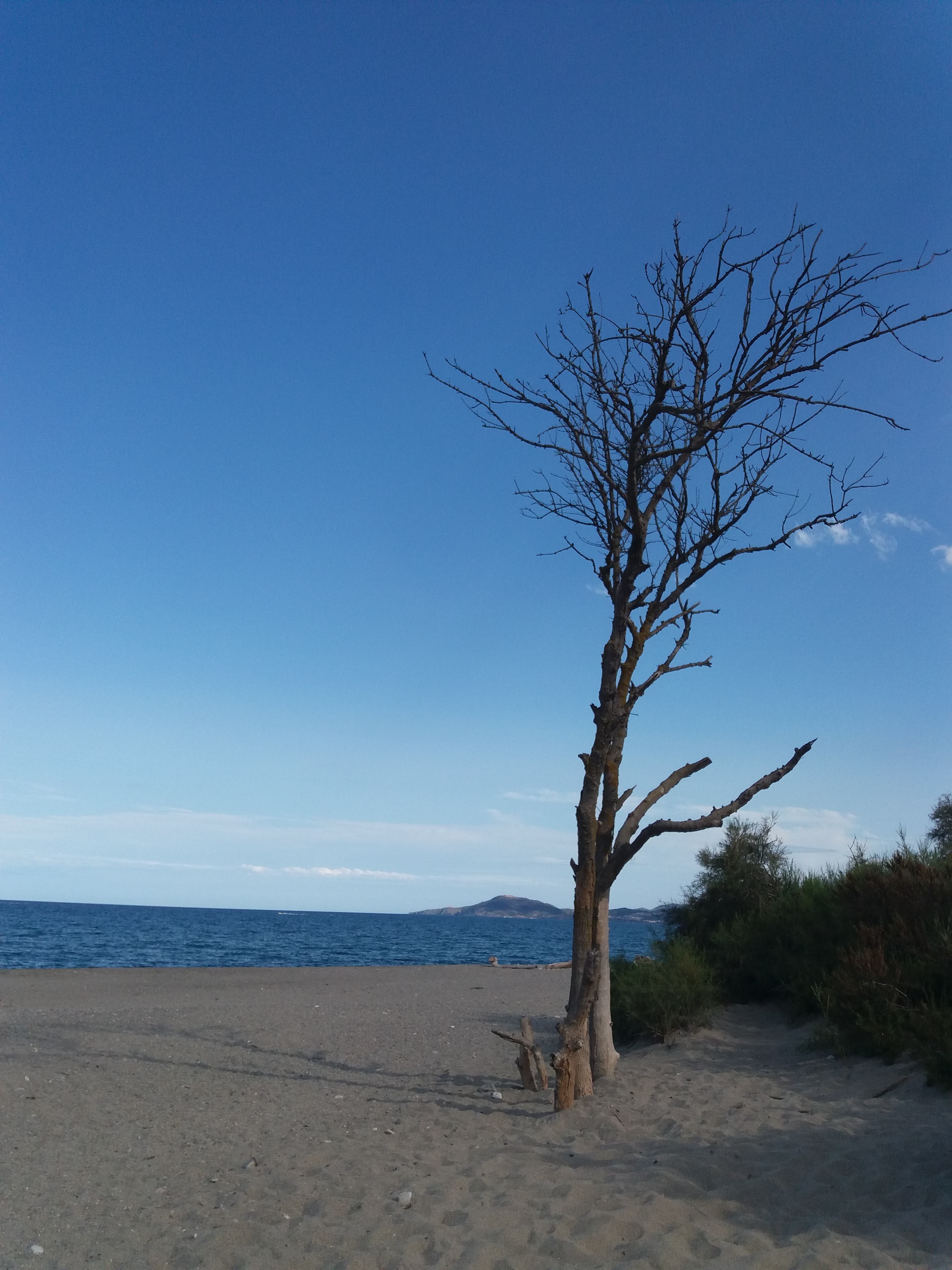 Photo n° 2 de l'avis de Pht.h fait le 30/08/2019 à 13:55