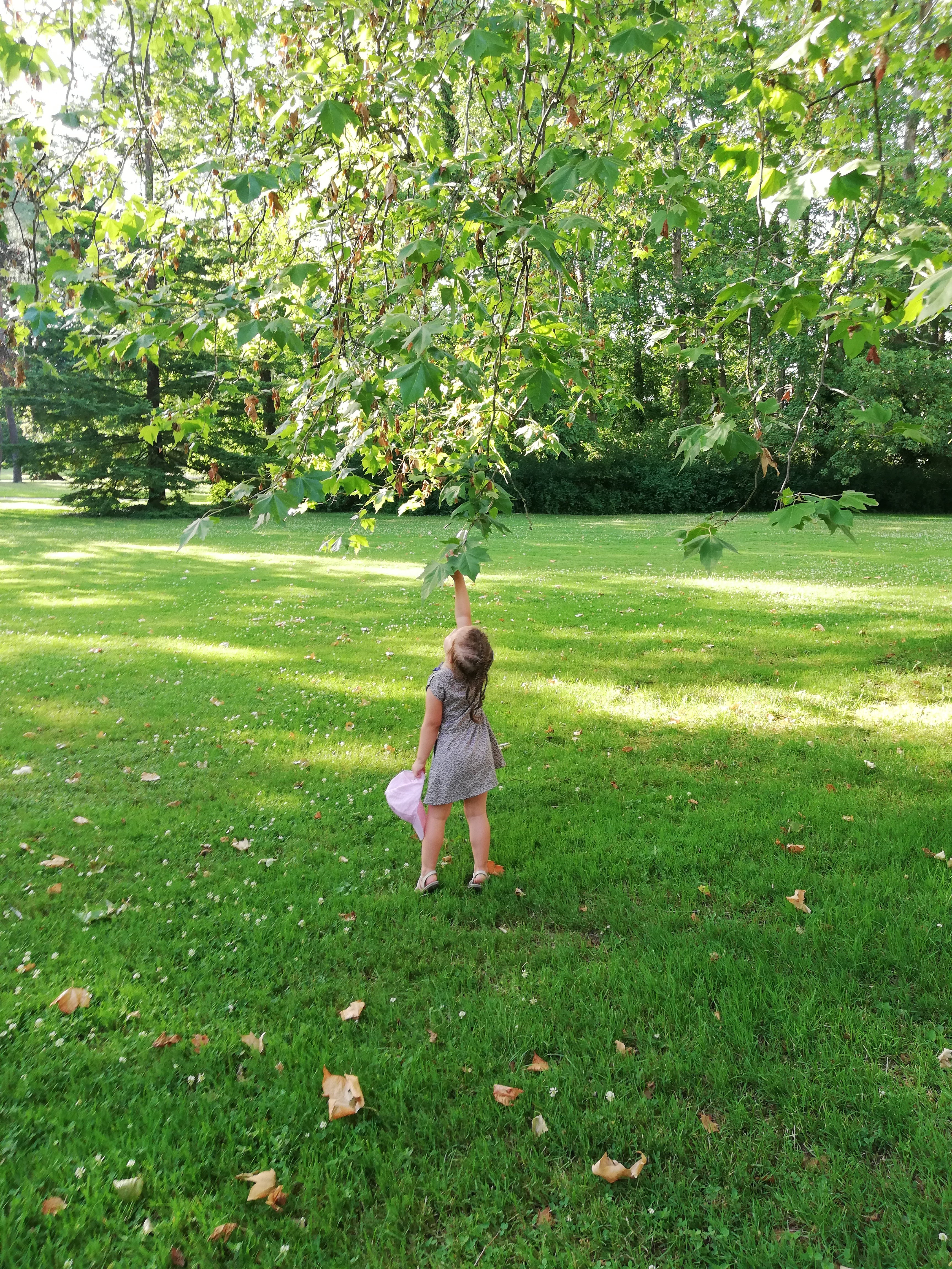 Photo n° 1 de l'avis de noopy.e fait le 03/07/2019 à 17:03