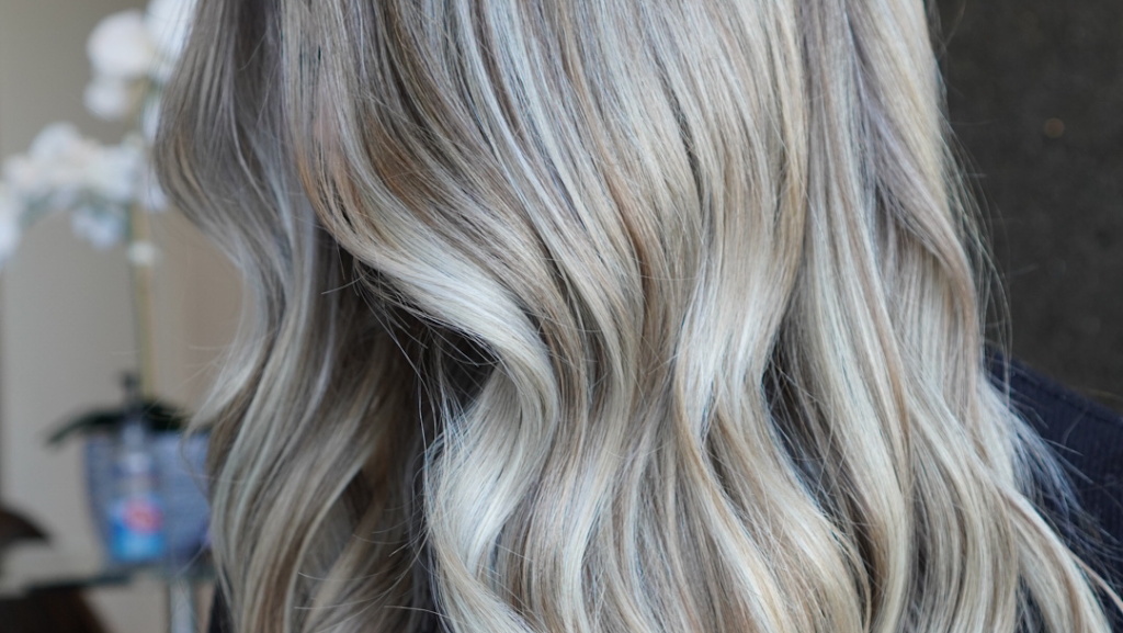 Willow Salon and Suites 66221