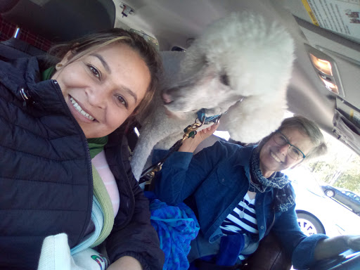 Museum «Michigan Iron Industry Museum», reviews and photos, 73 Forge Rd, Negaunee, MI 49866, USA