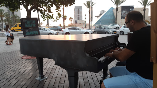 Cadenza Outdoor Piano