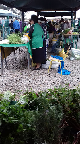 Biocentro (mercado agroecológico) - Cuenca