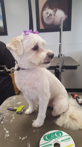 Pet Supply Store «Petco Animal Supplies», reviews and photos, 24413 Crenshaw Blvd #8, Torrance, CA 90505, USA