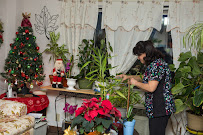 Sage Home Care - Photo 6 - Car repair in Danbury, CT, Danbury