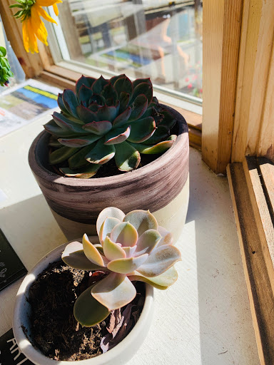 Coffee Shop «Sea Level Bakery + Coffee», reviews and photos, 3116 S Hemlock St, Cannon Beach, OR 97103, USA