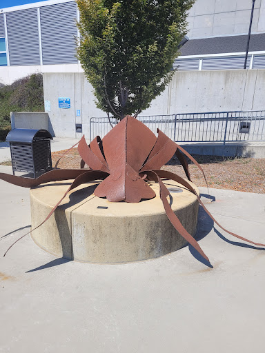 Cabrillo College image