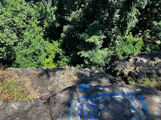 Park «Mills Reservation County Park», reviews and photos, Highland Ave, Cedar Grove, NJ 07009, USA