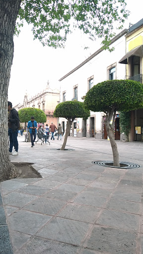 Jardín De Santa Clara