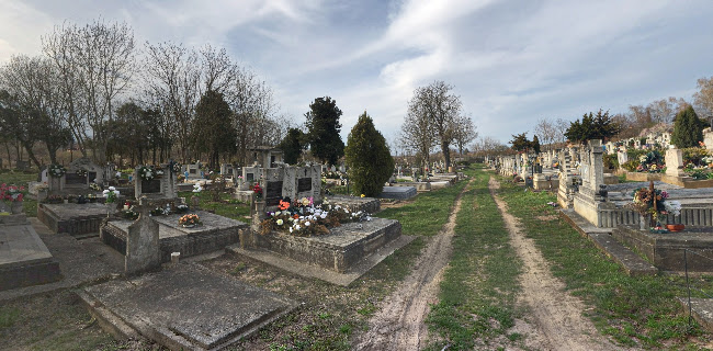 Hozzászólások és értékelések az Katolikus temető-ról