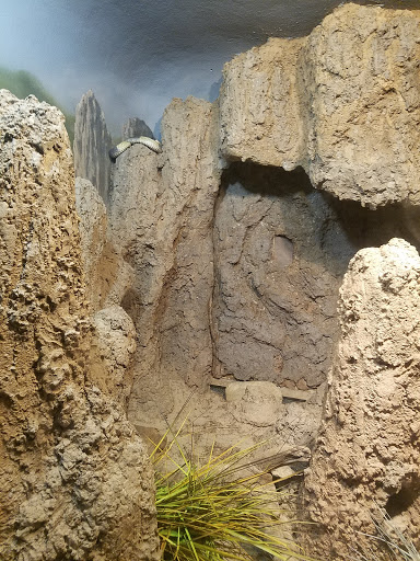 Zoo «Bronx Zoo», reviews and photos, 2300 Southern Blvd, Bronx, NY 10460, USA