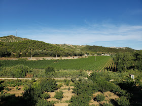 Quinta de D. Carlos