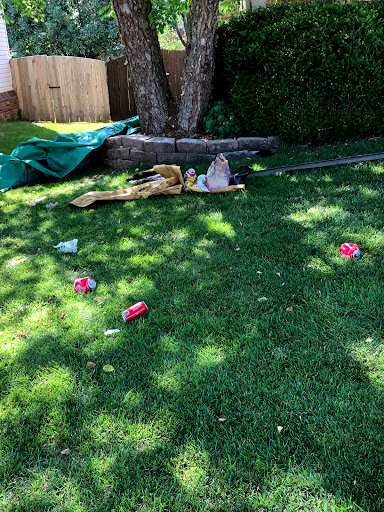 3861 Barnard Dr, Lexington, KY 40509, USA