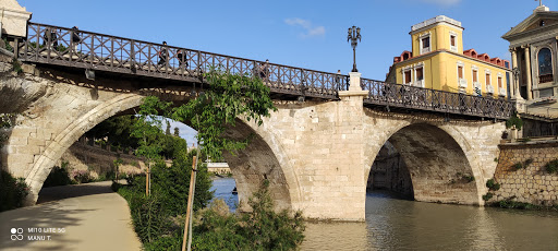 Puente de la FICA