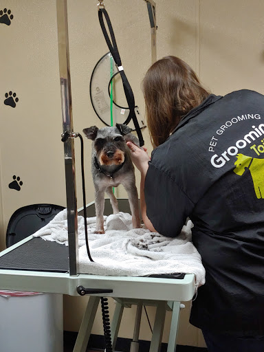 Pet Store «Pet Valu», reviews and photos, 1729 Quentin Rd, Lebanon, PA 17042, USA