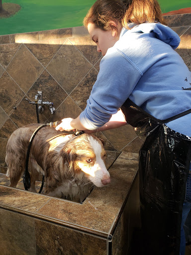 Pet Store «Pet Valu», reviews and photos, 7875 Heneska Loop, Alexandria, VA 22315, USA