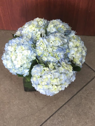 Florist «Abbott Florist», reviews and photos, 1008 71st St, Miami Beach, FL 33141, USA