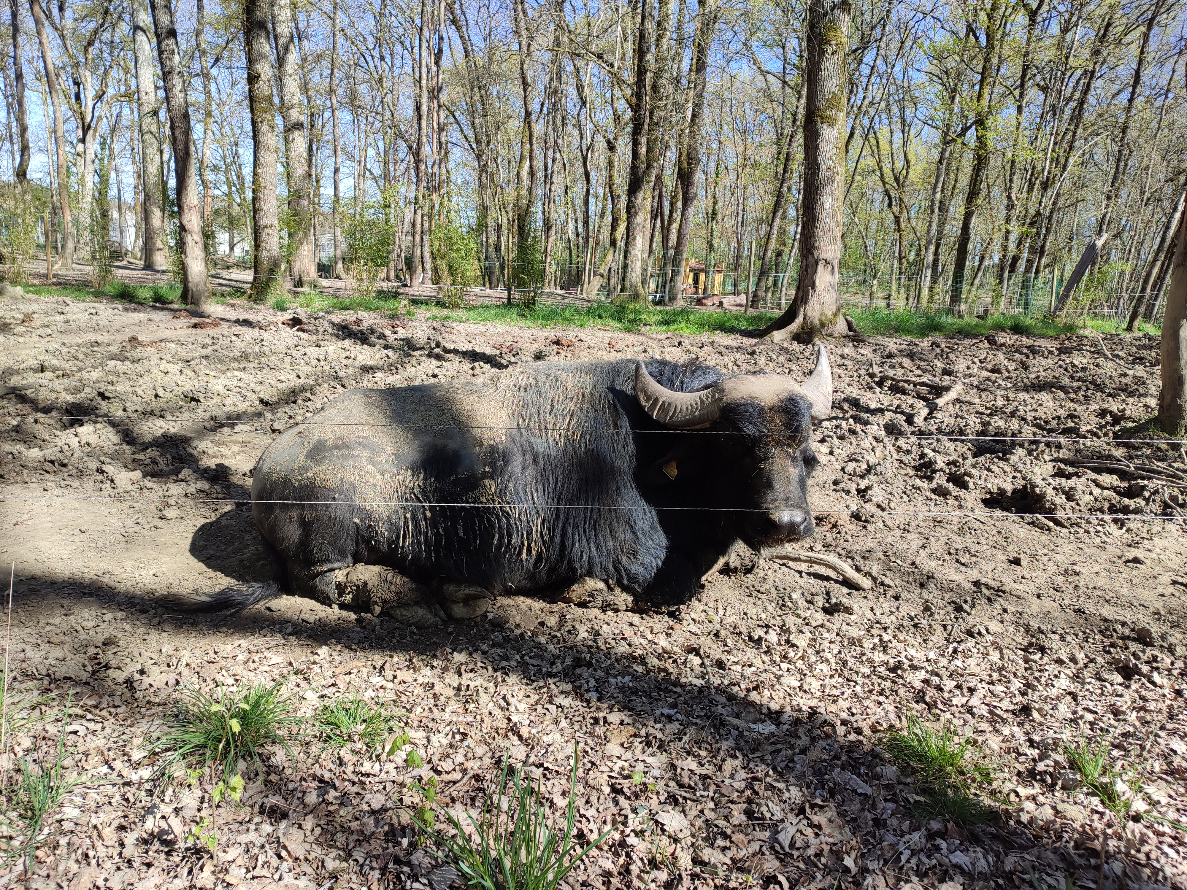 Photo n° 4 de l'avis de Nellie.a fait le 29/04/2023 à 13:47