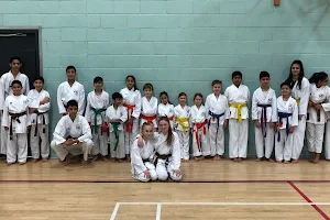 Yorkshire Karate Academy (Bingley) image