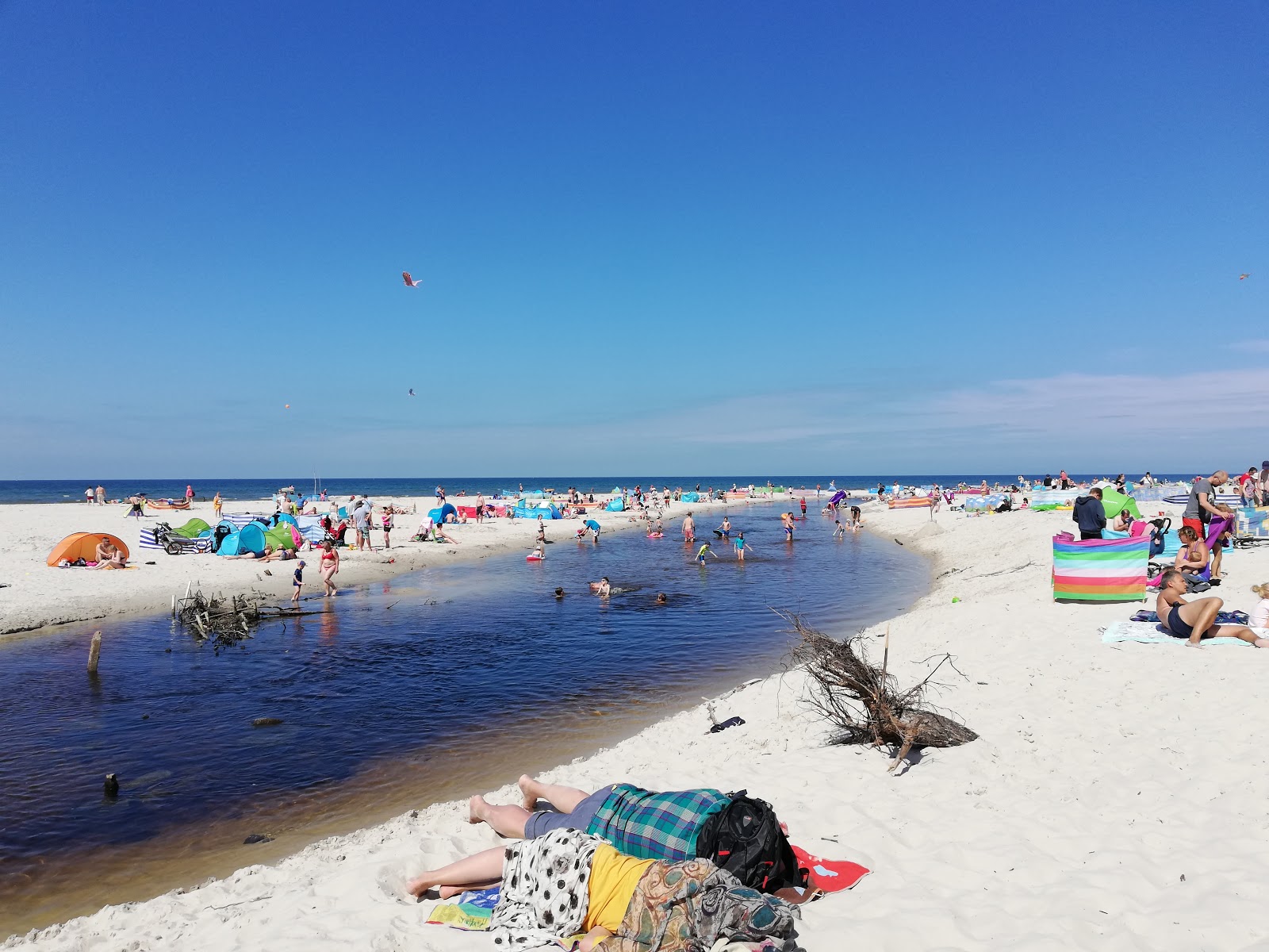 Pyasnitsa Beach (nr 25)'in fotoğrafı imkanlar alanı