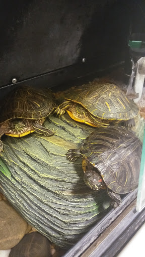 Pet Supply Store «PetSmart», reviews and photos, 8660 Airline Hwy, Baton Rouge, LA 70815, USA