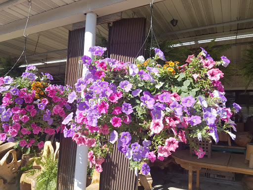 Produce Market «Circle 3 Farms», reviews and photos, 950 NJ-23, Pompton Plains, NJ 07444, USA