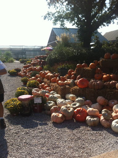 Plant Nursery «Guerin Nursery and Boutique», reviews and photos, 1418 Fall Creek Hwy, Granbury, TX 76049, USA