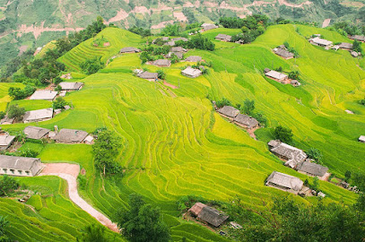 Ruộng Bậc Thang Hoàng Su Phì