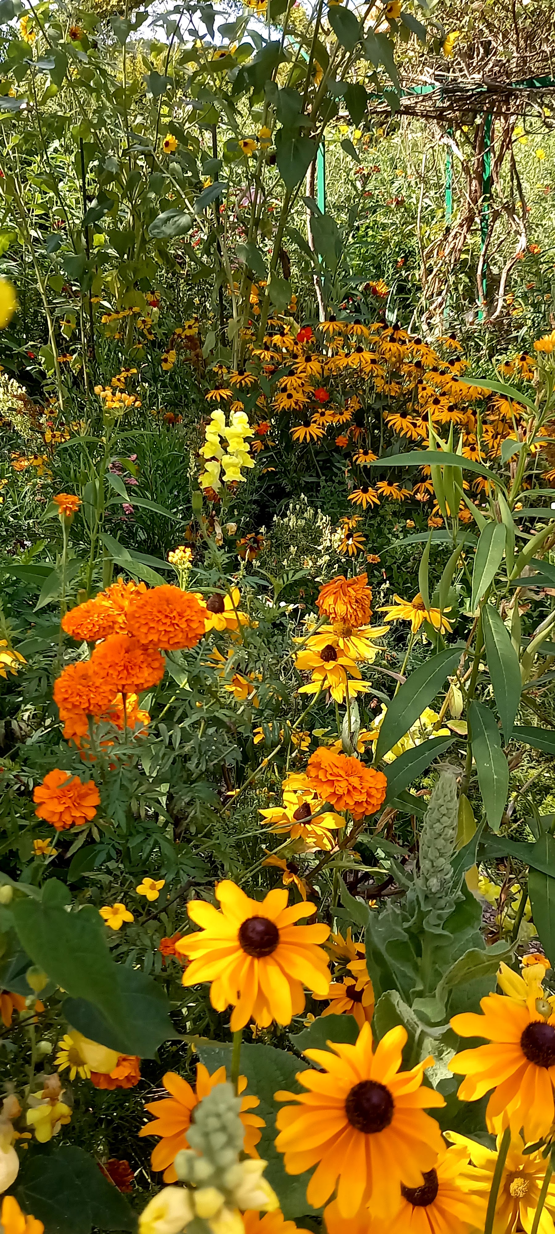 Photo n° 2 de l'avis de A.M.. fait le 01/09/2022 à 12:24