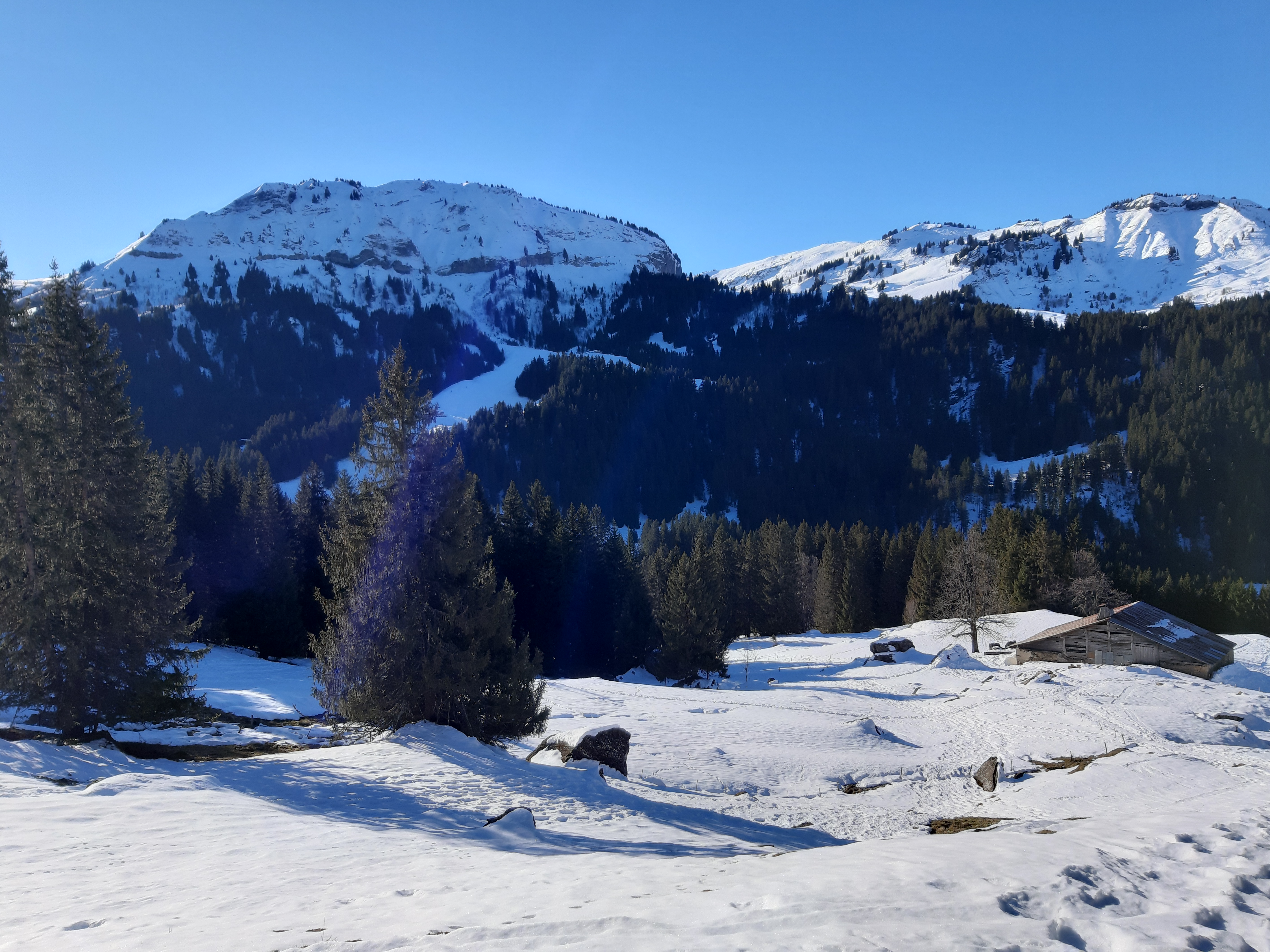 Photo n° 4 de l'avis de LABIDOIRE.a fait le 26/01/2020 à 21:31