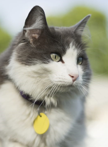 Funeral Home «Mission Park Funeral Chapels and Cemeteries», reviews and photos, 1700 SE Military Dr, San Antonio, TX 78214, USA