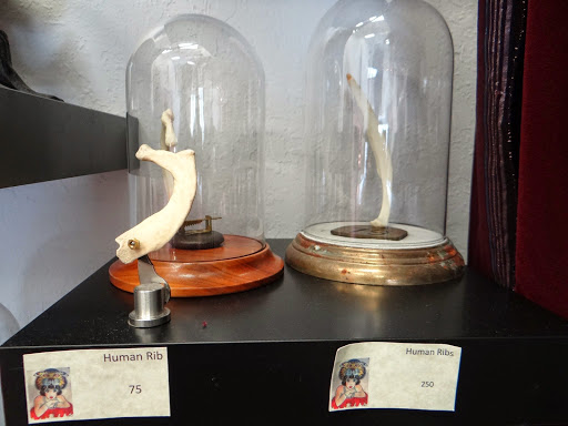 Art Gallery «Dysfunctional Grace Art Co», reviews and photos, 1903 E 7th Ave, Tampa, FL 33605, USA