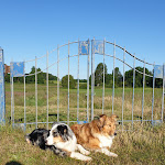 Photo n°2 de l'avis de Heike.i fait le 23/06/2020 à 18:07 sur le  Landhaus Ostseeblick à Kronsgaard
