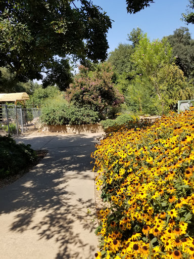 Park «Fair Oaks Park», reviews and photos, 11549 Fair Oaks Blvd, Fair Oaks, CA 95628, USA