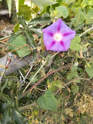 Hidden Valley Park - photo 47