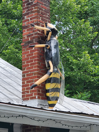 Grocery Store «Natural Bridge General Store», reviews and photos, 593 Wert Faulkner Hwy, Natural Bridge Station, VA 24579, USA